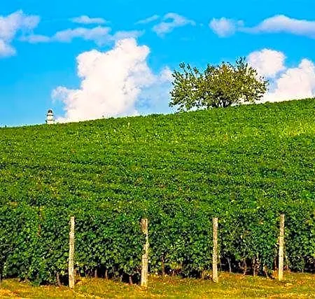 L'ostelliere - Sparina 4* Gavi